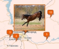 Где покататься на лошадях в Нижнем Новгороде?